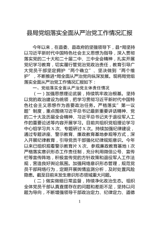 县局党组落实全面从严治党工作情况汇报
