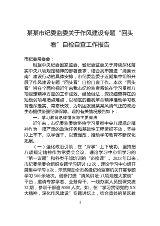 某某市纪委监委关于作风建设专题“回头看”自检自查工作报告