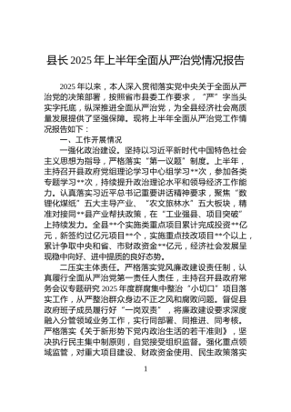 县长2025年上半年全面从严治党情况报告