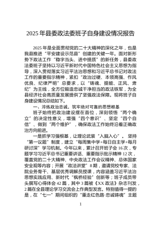 2025年县委政法委班子自身建设情况报告