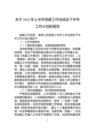 关于2025年上半年党委工作总结及下半年工作计划的报告