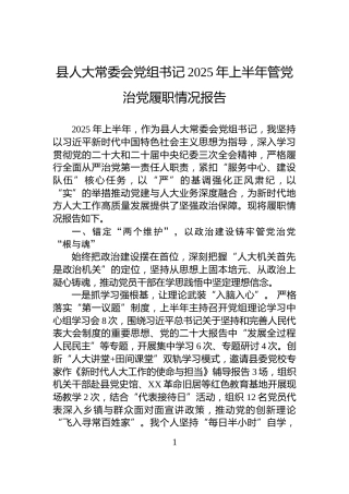县人大常委会党组书记2025年上半年管党治党履职情况报告