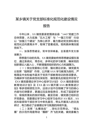 某乡镇关于党支部标准化规范化建设情况报告