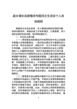 副乡镇长巡察整改专题民主生活会个人发言提纲