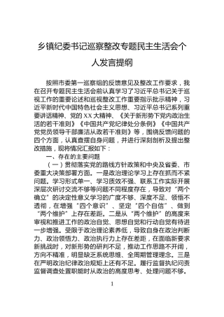 乡镇纪委书记巡察整改专题民主生活会个人发言提纲