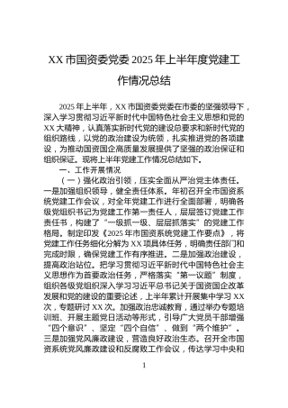 XX市国资委党委2025年上半年度党建工作情况总结