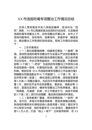 XX市违规吃喝专项整治工作情况总结