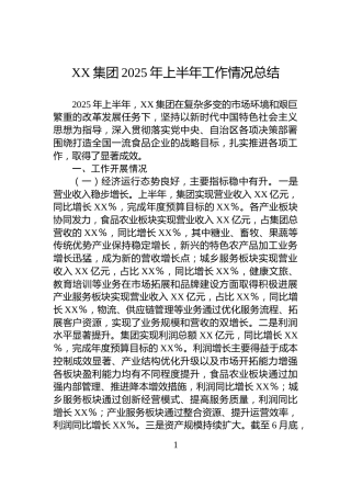 XX集团2025年上半年工作情况总结
