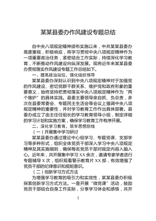 某某县委办作风建设专题总结