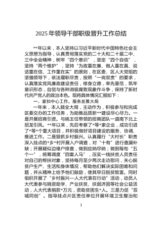 2025年领导干部职级晋升工作总结