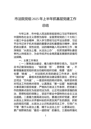 市法院党组2025年上半年抓基层党建工作总结