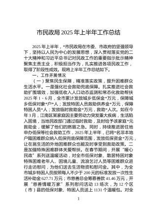 市民政局2025年上半年工作总结
