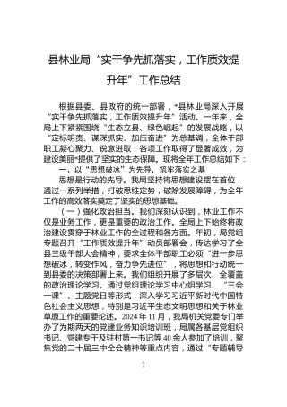 县林业局“实干争先抓落实，工作质效提升年”工作总结