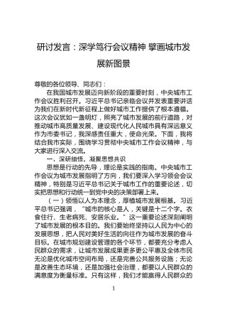 研讨发言：深学笃行会议精神+擘画城市发展新图景