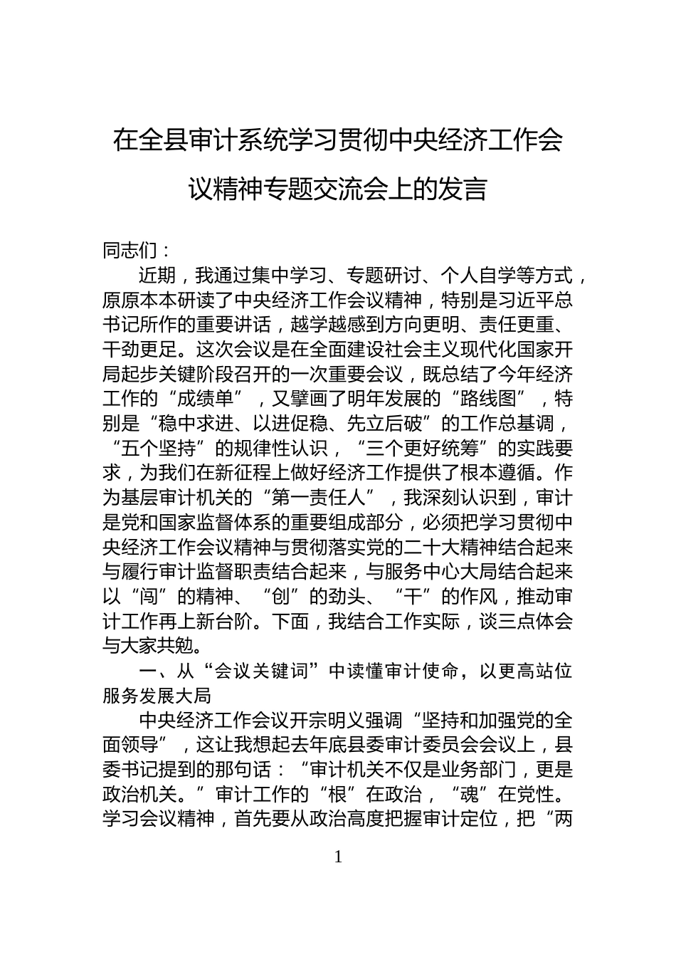 在全县审计系统学习贯彻中央经济工作会议精神专题交流会上的发言_第1页