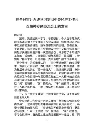 在全县审计系统学习贯彻中央经济工作会议精神专题交流会上的发言