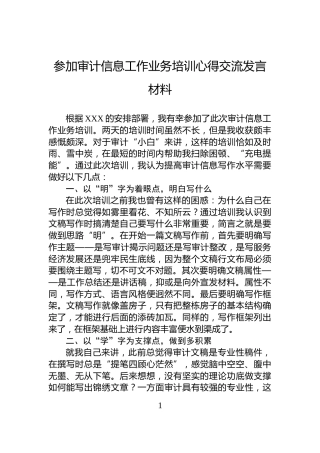 参加审计信息工作业务培训心得交流发言材料