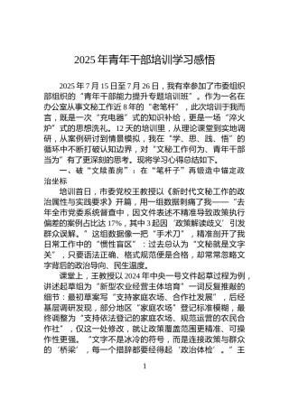 2025年青年干部培训学习感悟