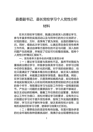 县委副书记、县长党校学习个人党性分析材料