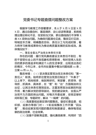 党委书记专题查摆问题整改方案