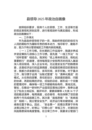 县领导2025年政治自画像
