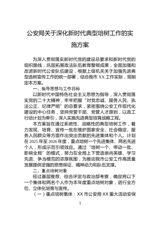 公安局关于深化新时代典型培树工作的实施方案