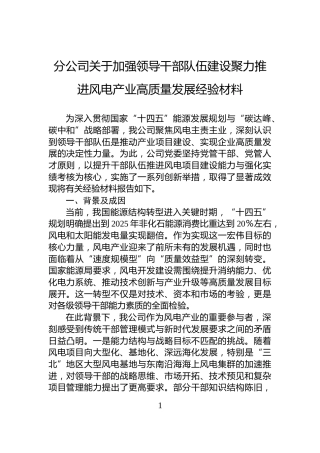 分公司关于加强领导干部队伍建设聚力推进风电产业高质量发展经验材料