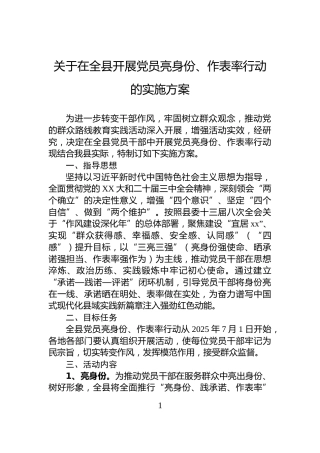 关于在全县开展党员亮身份、作表率行动的实施方案