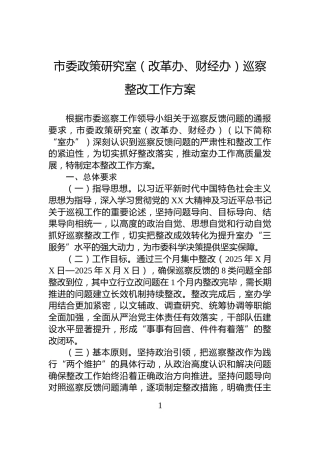 市委政策研究室（改革办、财经办）巡察整改工作方案