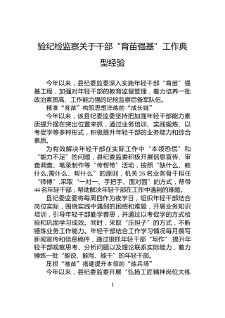 验纪检监察关于干部“育苗强基”工作典型经验