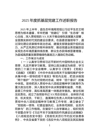 2025年度抓基层党建工作述职报告