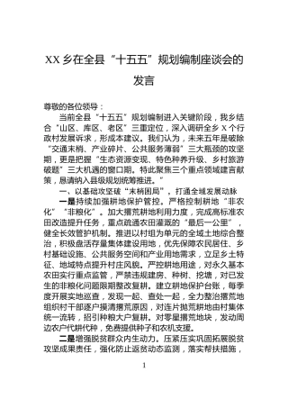 XX乡在全县“十五五”规划编制座谈会的发言