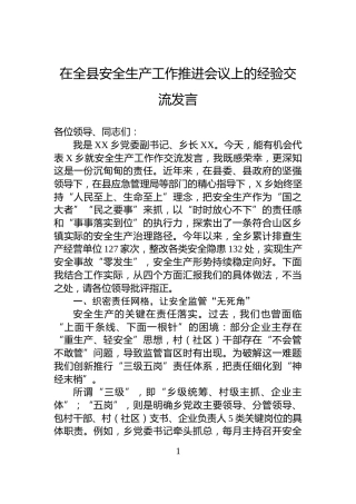 在全县安全生产工作推进会议上的经验交流发言