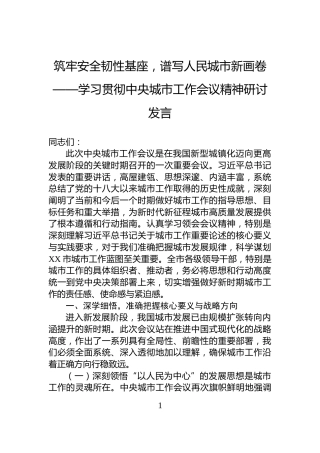 筑牢安全韧性基座，谱写人民城市新画卷——学习贯彻中央城市工作会议精神研讨发言