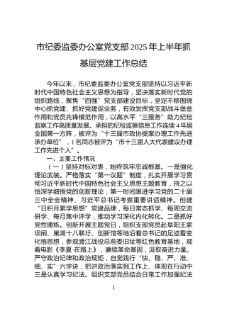 市纪委监委办公室党支部2025年上半年抓基层党建工作总结