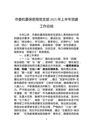 市委机要保密局党支部2025年上半年党建工作总结