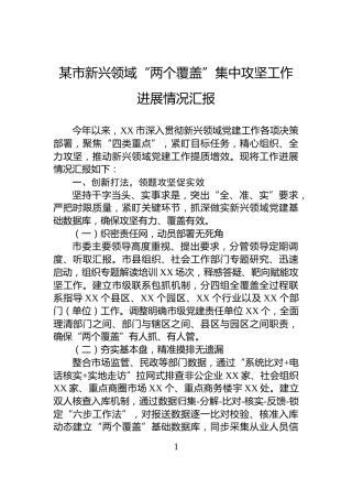 某市新兴领域“两个覆盖”集中攻坚工作进展情况汇报