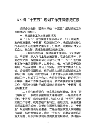 XX镇“十五五”规划工作开展情况汇报