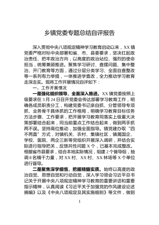 乡镇党委专题总结自评报告