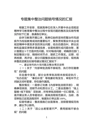 专题集中整治问题销号情况的汇报