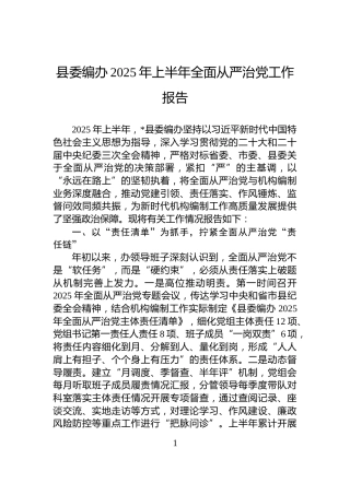 县委编办2025年上半年全面从严治党工作报告