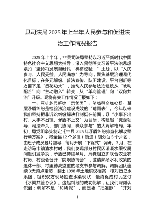 县司法局2025年上半年人民参与和促进法治工作情况报告