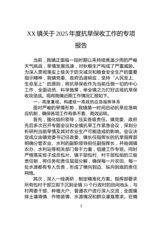 XX镇关于2025年度抗旱保收工作的专项报告