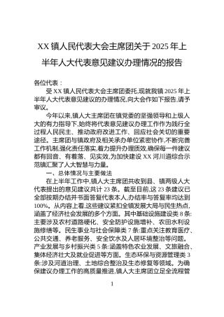 XX镇人民代表大会主席团关于2025年上半年人大代表意见建议办理情况的报告