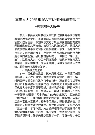 某市人大2025年深入贯彻作风建设专题工作总结评估报告