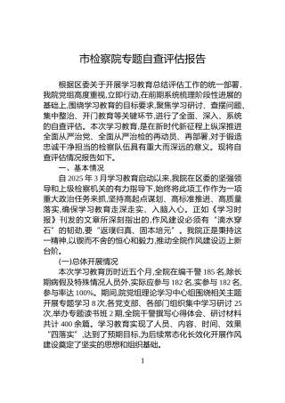 市检察院专题自查评估报告