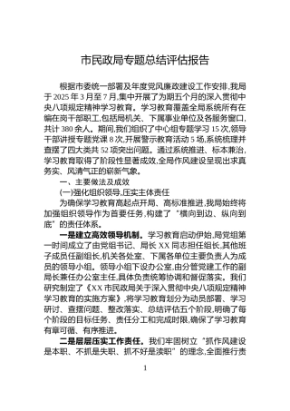 市民政局专题总结评估报告