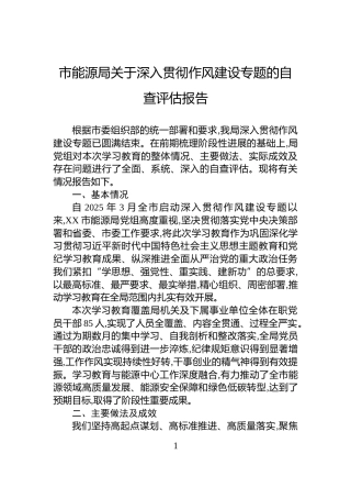 市能源局关于深入贯彻作风建设专题的自查评估报告