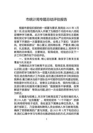 市统计局专题总结评估报告