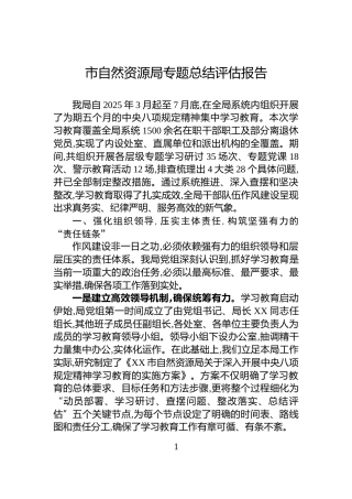 市自然资源局专题总结评估报告